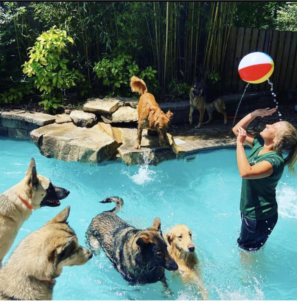 Safari Pet Resort Nashville Parent